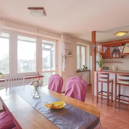 公寓 Apartament Ananas *
